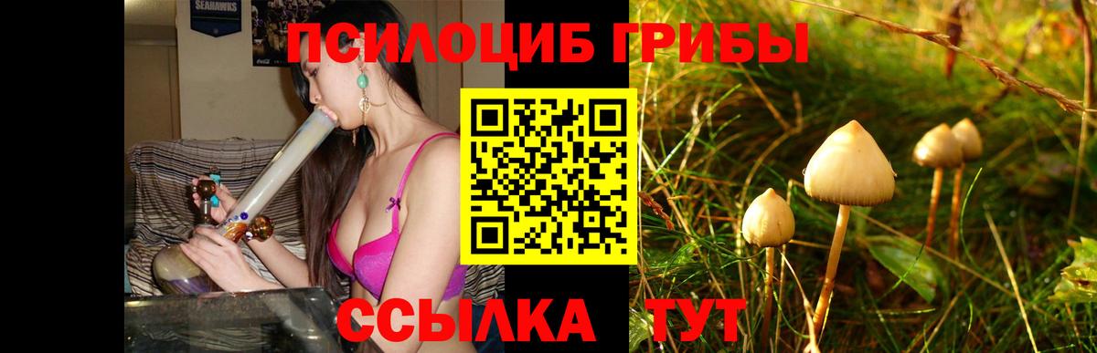 Галлюциногенные грибы мицелий  Вход с VPN  Петропавловск-Камчатский  Псилоцибиновые грибы MAGIC MUSHROOMS 